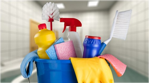 Professional carpet cleaning in Finchley with expert care and fresh results