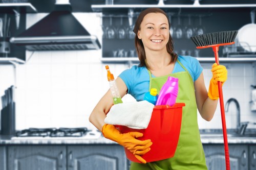 Stain treatment and deep carpet cleaning illustration