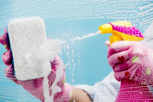 Stain removal and carpet care in Finchley property