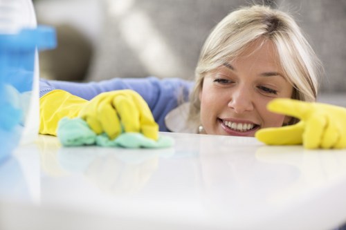 Deep rug stain removal and fibre care service in Finchley